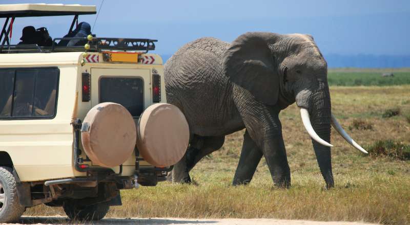 Tarangire National Park